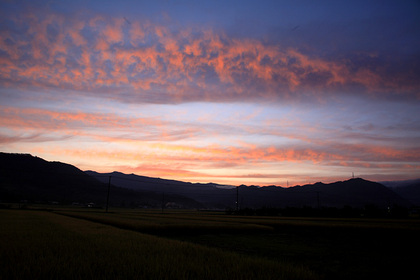 上山市