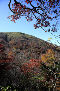 大峠