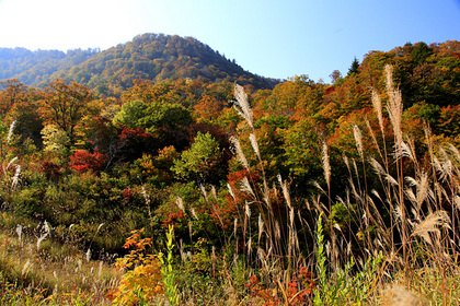 舟鼻峠