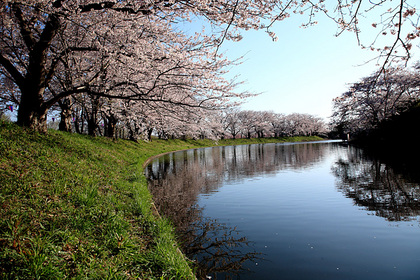 福岡堰