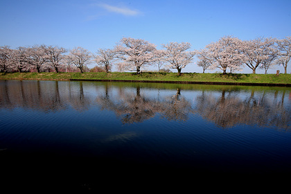 福岡堰