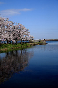 福岡堰