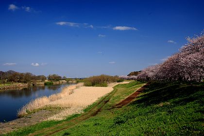 福岡堰