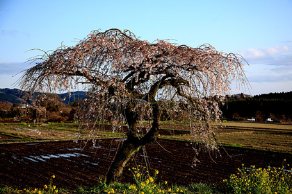 那珂川町