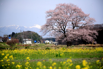 那須町