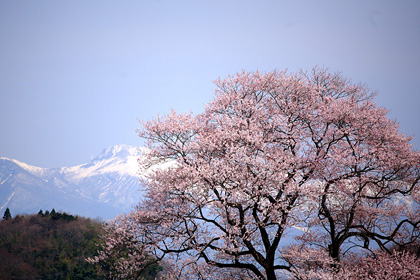 那須町高久