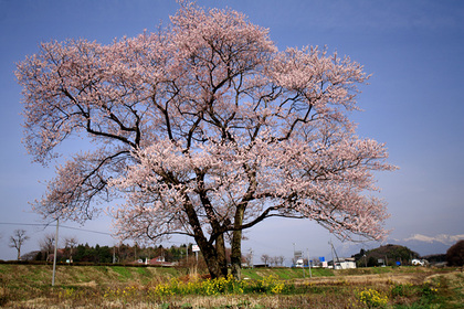 那須町