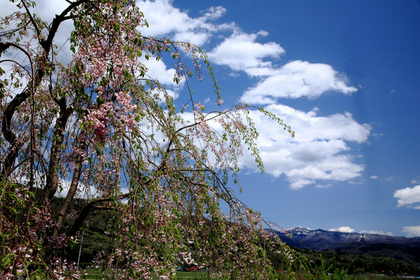 上山市