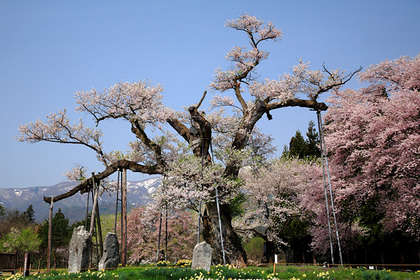 白鷹町