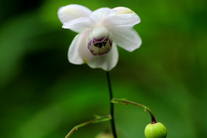 県民の森