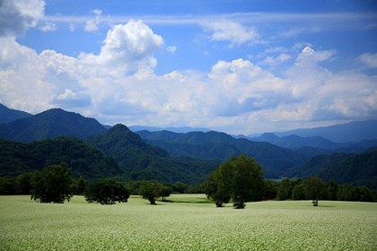 高杖高原