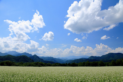 高杖高原