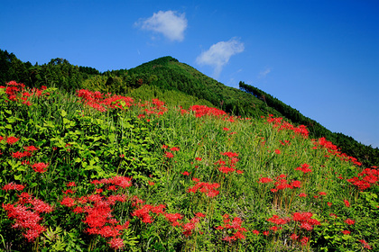 簑沢