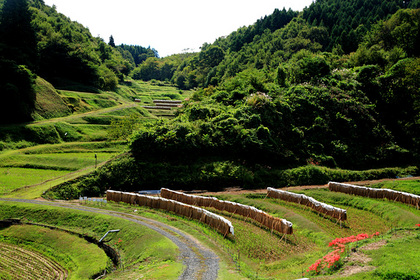 茂木町