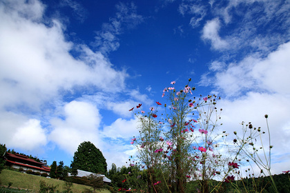 那須烏山市