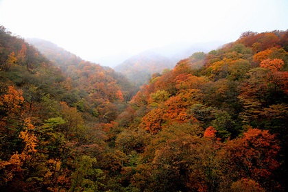 甲子峠