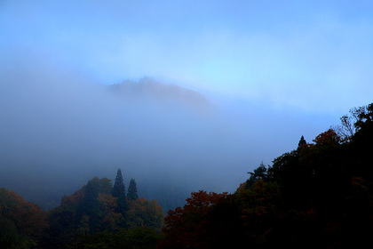 布沢