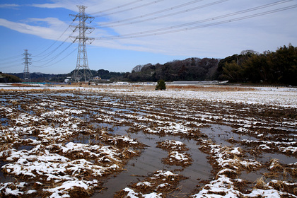 雪