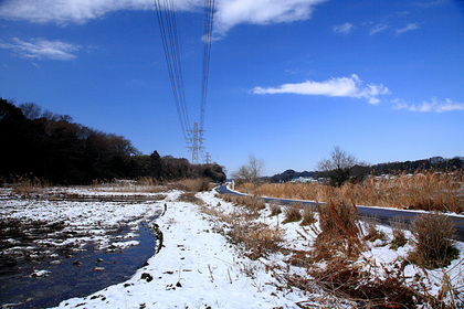 雪