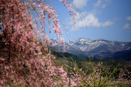 上山市