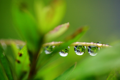 雨粒