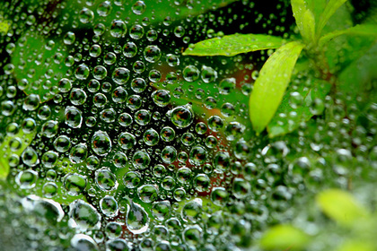 雨滴