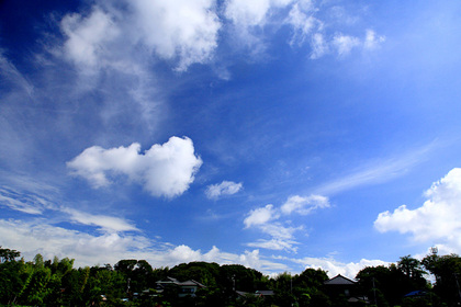 夏雲