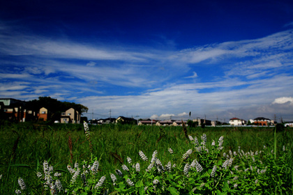 夏雲