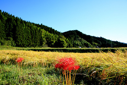 那須町大和須