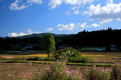 簑沢