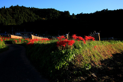 大子町