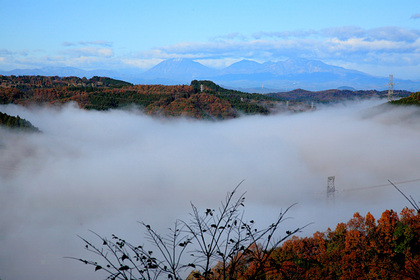 川霧 茂木町 那珂川