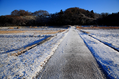 雪