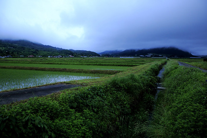 上山市