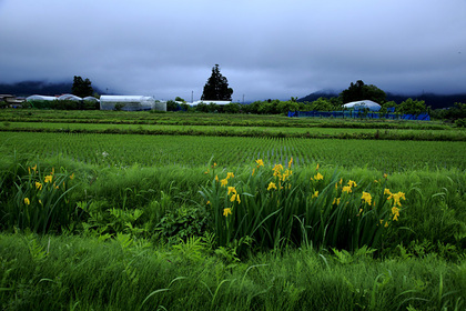 上山市