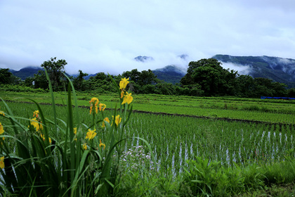 上山市