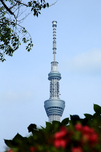 隅田川河畔