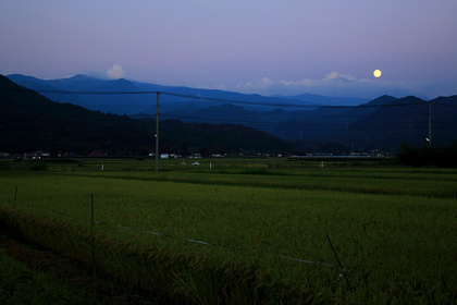 ブルームーン 上山市