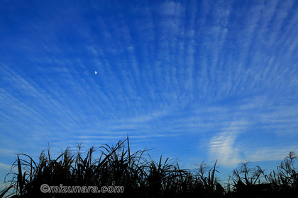 刷毛雲 月