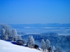 美瑛 雪景色