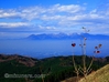 八溝山 紅葉 那須