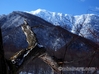 観音沼 雪景色