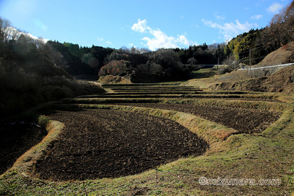 棚田 茂木町