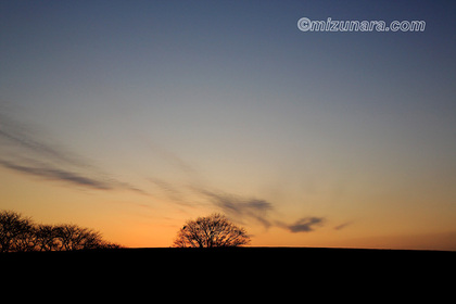 夕景