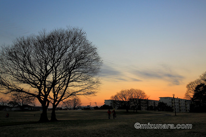 夕景