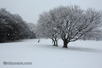 雪