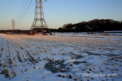 朝景 雪