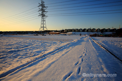 朝景 雪