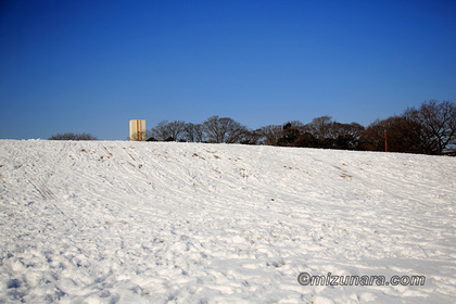 公園 雪