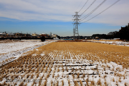 雪